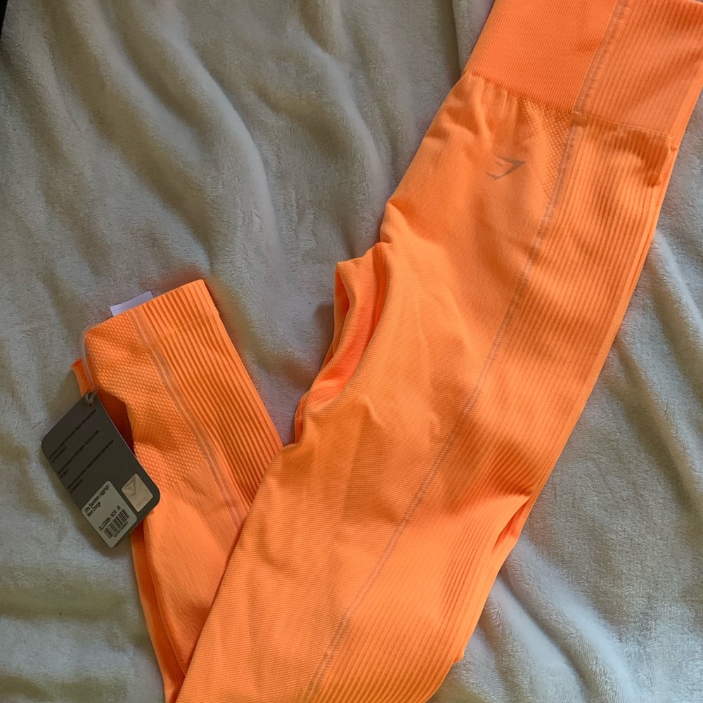 Gym shark leggings